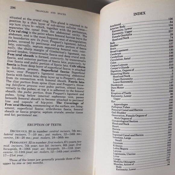 The Concise Grays Anatomy Book by C.H. Leonard AM MD Chartwell Books 1983  Omega - Picture 16 of 16